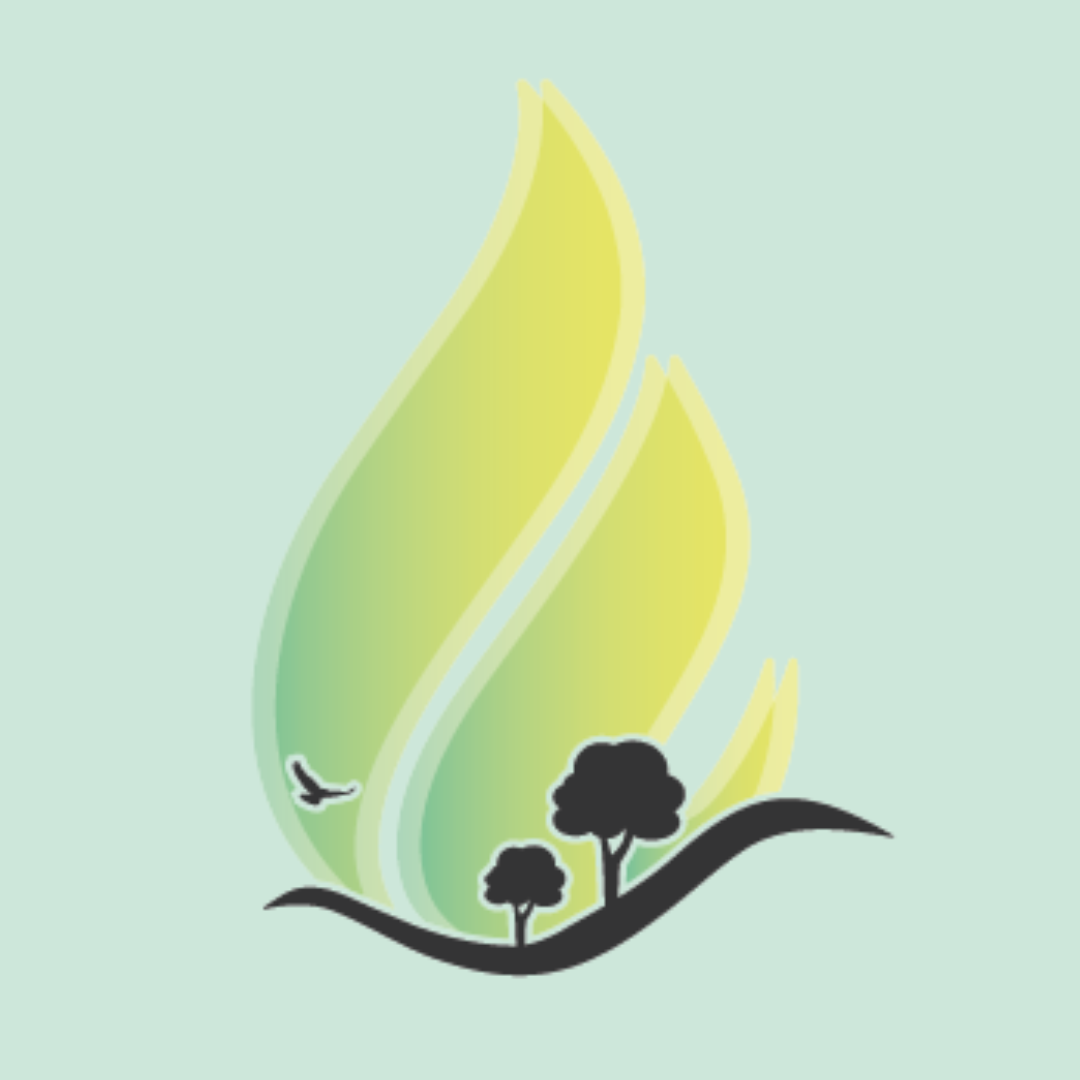 Wildfire Board Icon